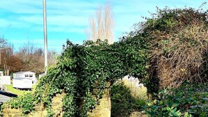 A stone bridge with a lamp post, surrounded by greenery and a clear sky.