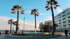 Eine Uferpromenade mit Palmen, einem Brunnen und modernen Gebäuden.