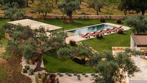 Un espace piscine comprenant des chaises longues, une petite terrasse et une végétation luxuriante tout autour.