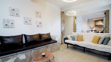 TV connectée, cheminée, livres