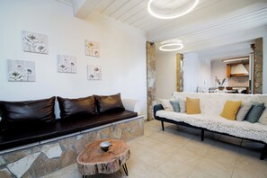 TV connectée, cheminée, livres