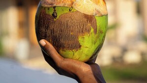 Una mano sosteniendo un coco con una pajita.