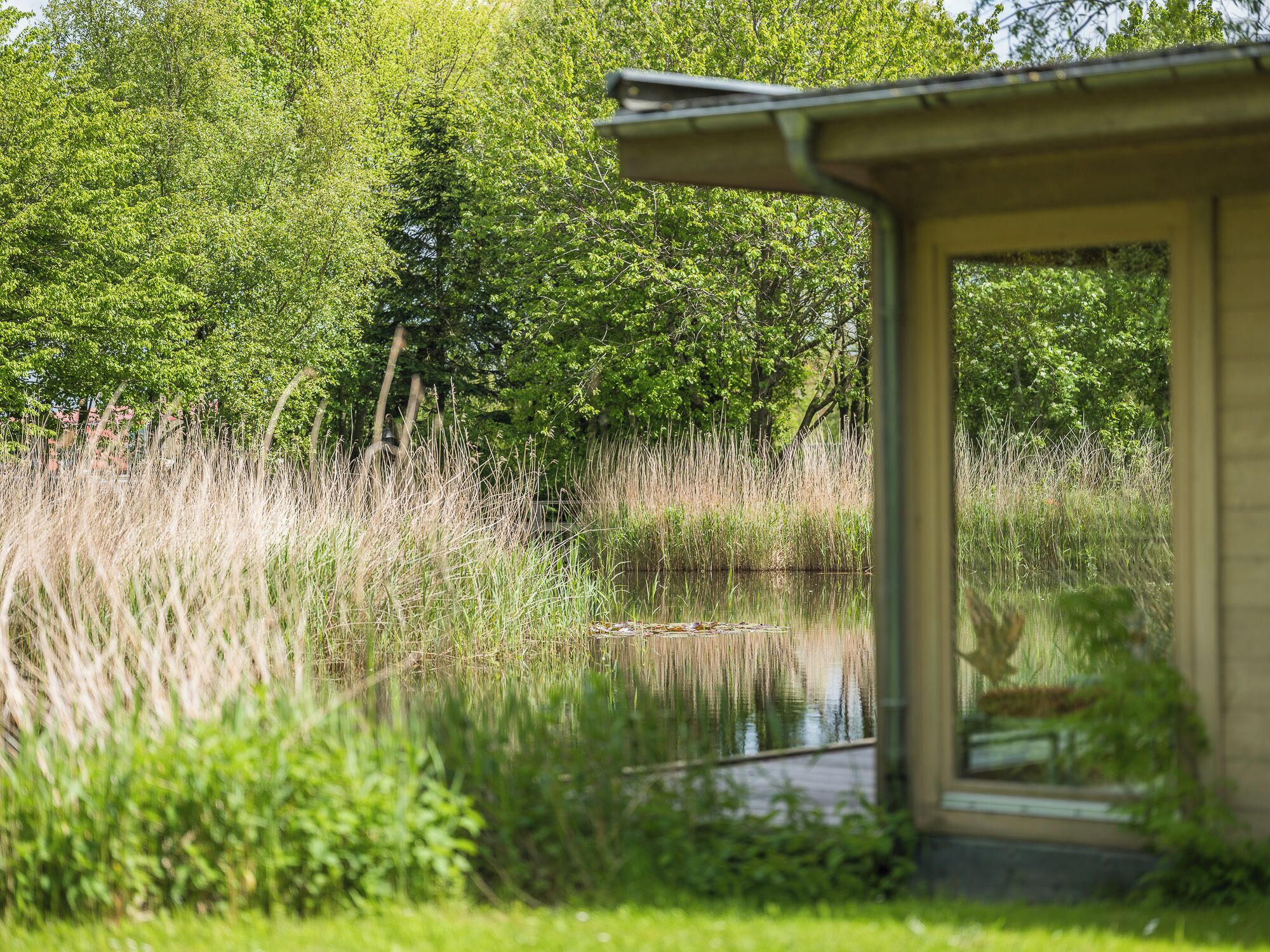 Khuôn viên nơi lưu trú