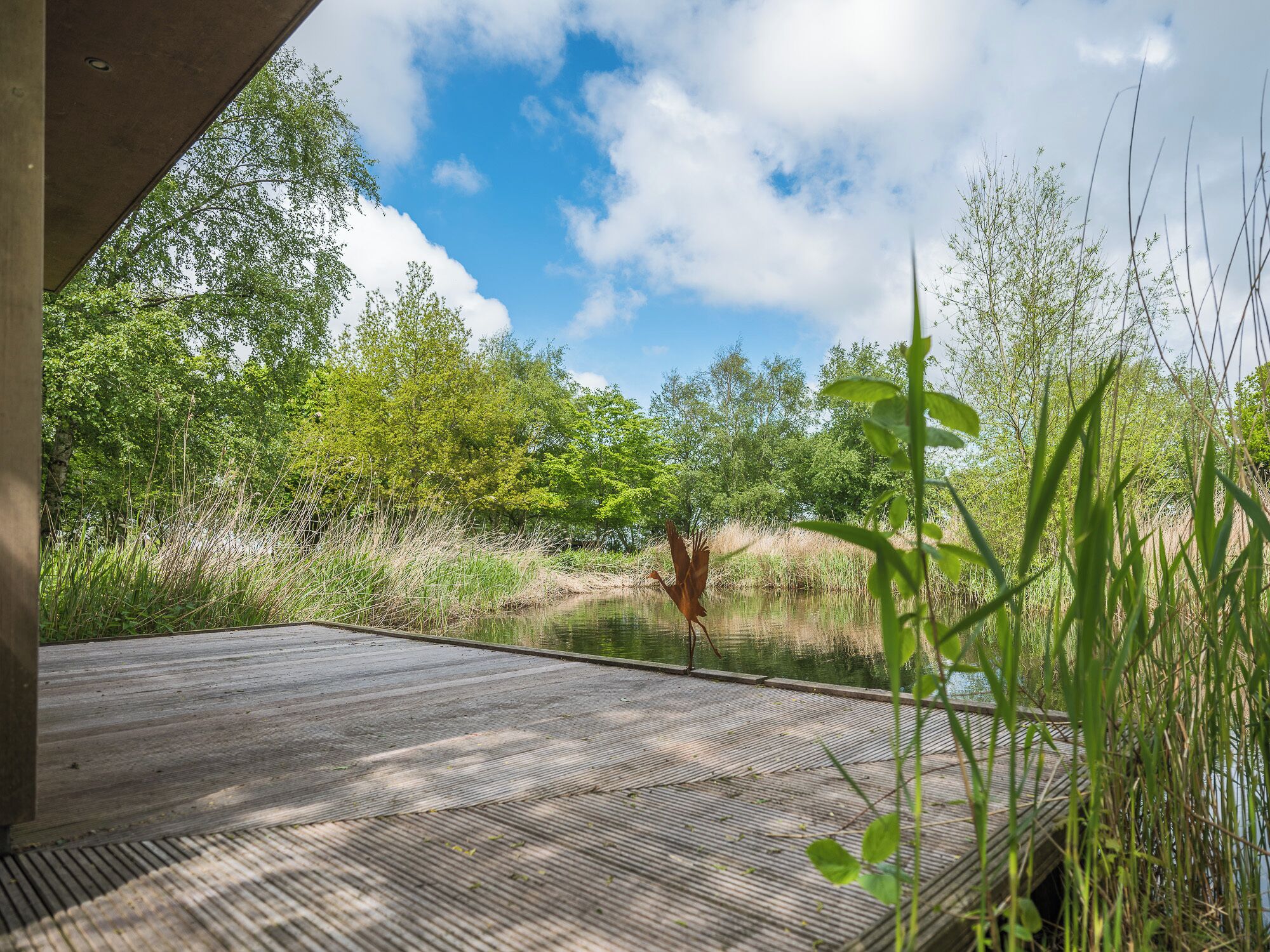 A wooden deck with a view of a pond and surrounding greenery.