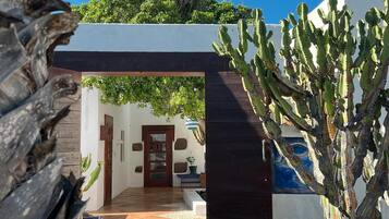 Detalle del exterior