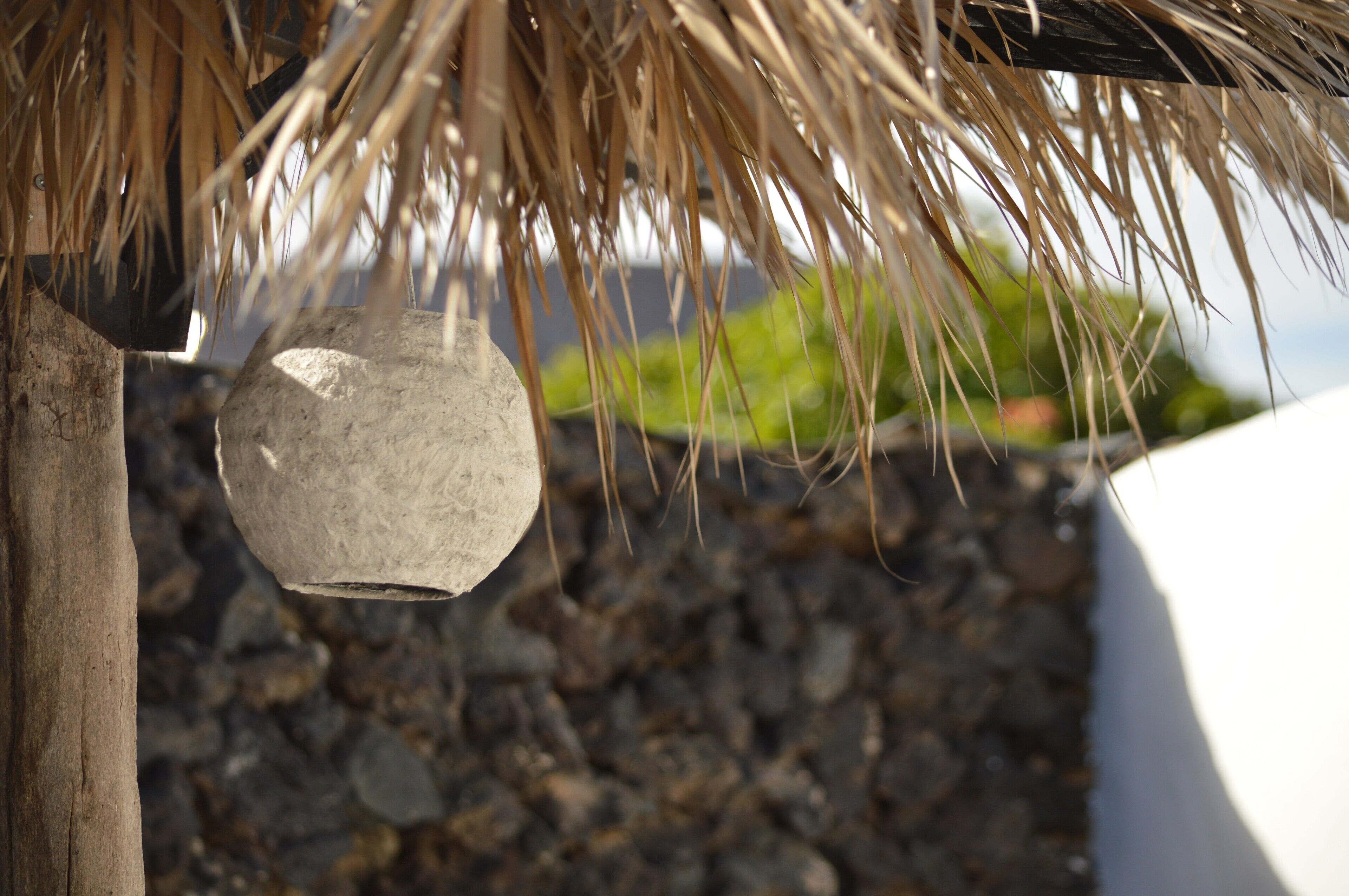 Detalle del exterior