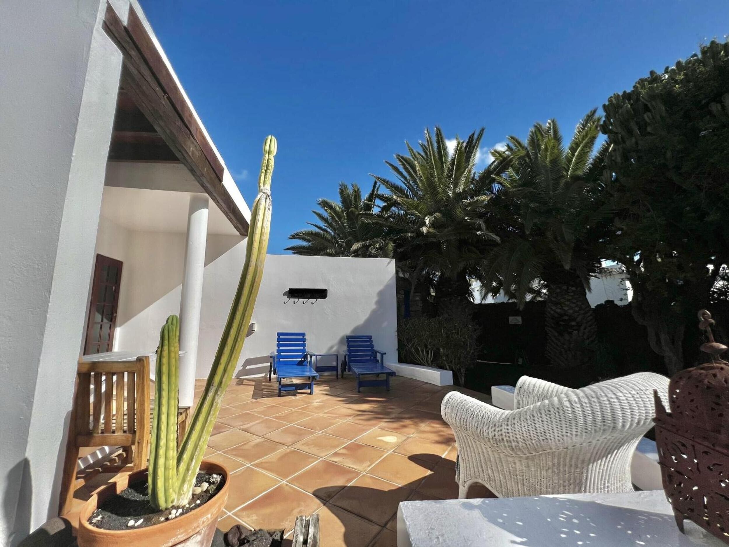 A patio with a cactus, blue chairs, and white wicker furniture.