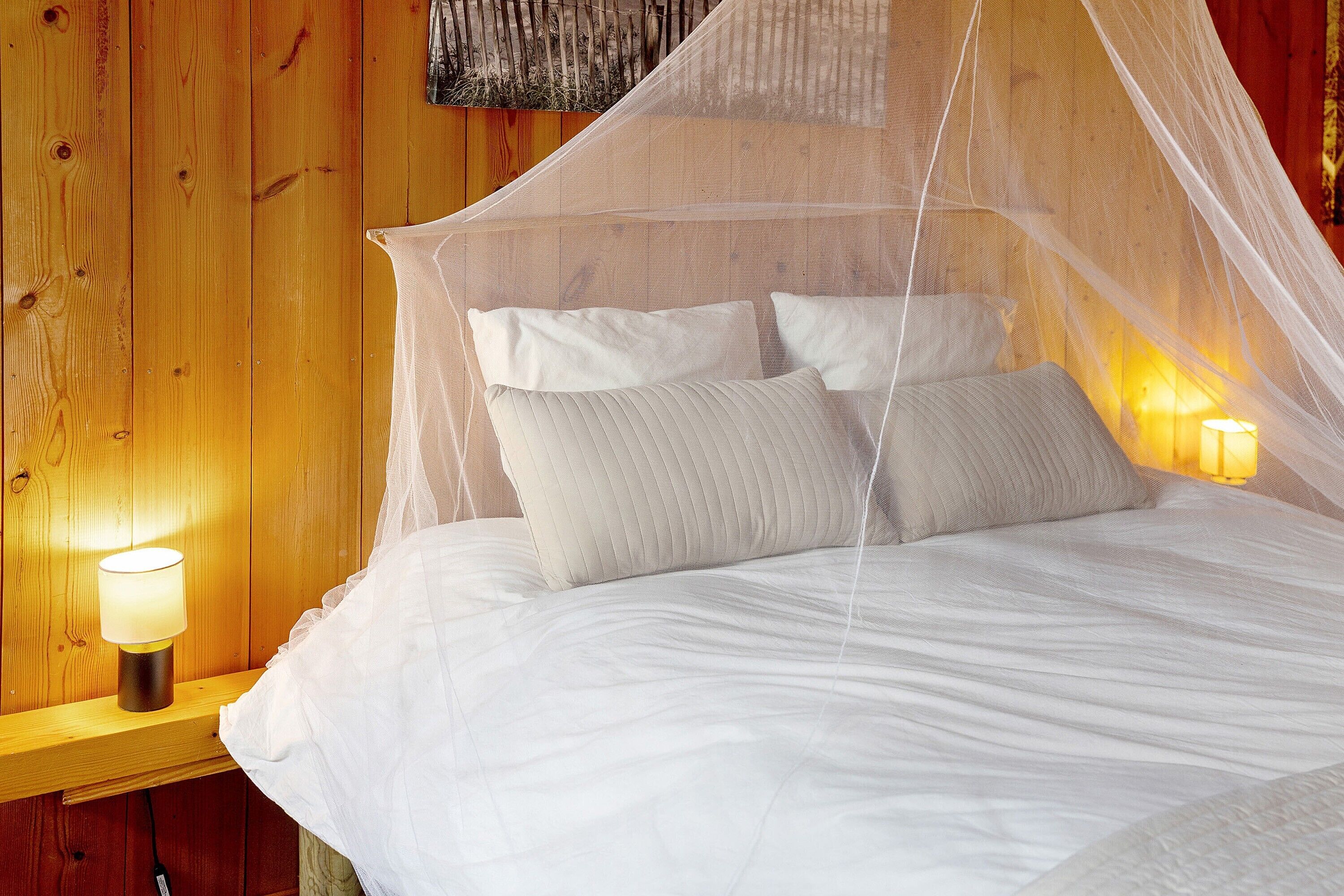 WiFi, bed sheets
