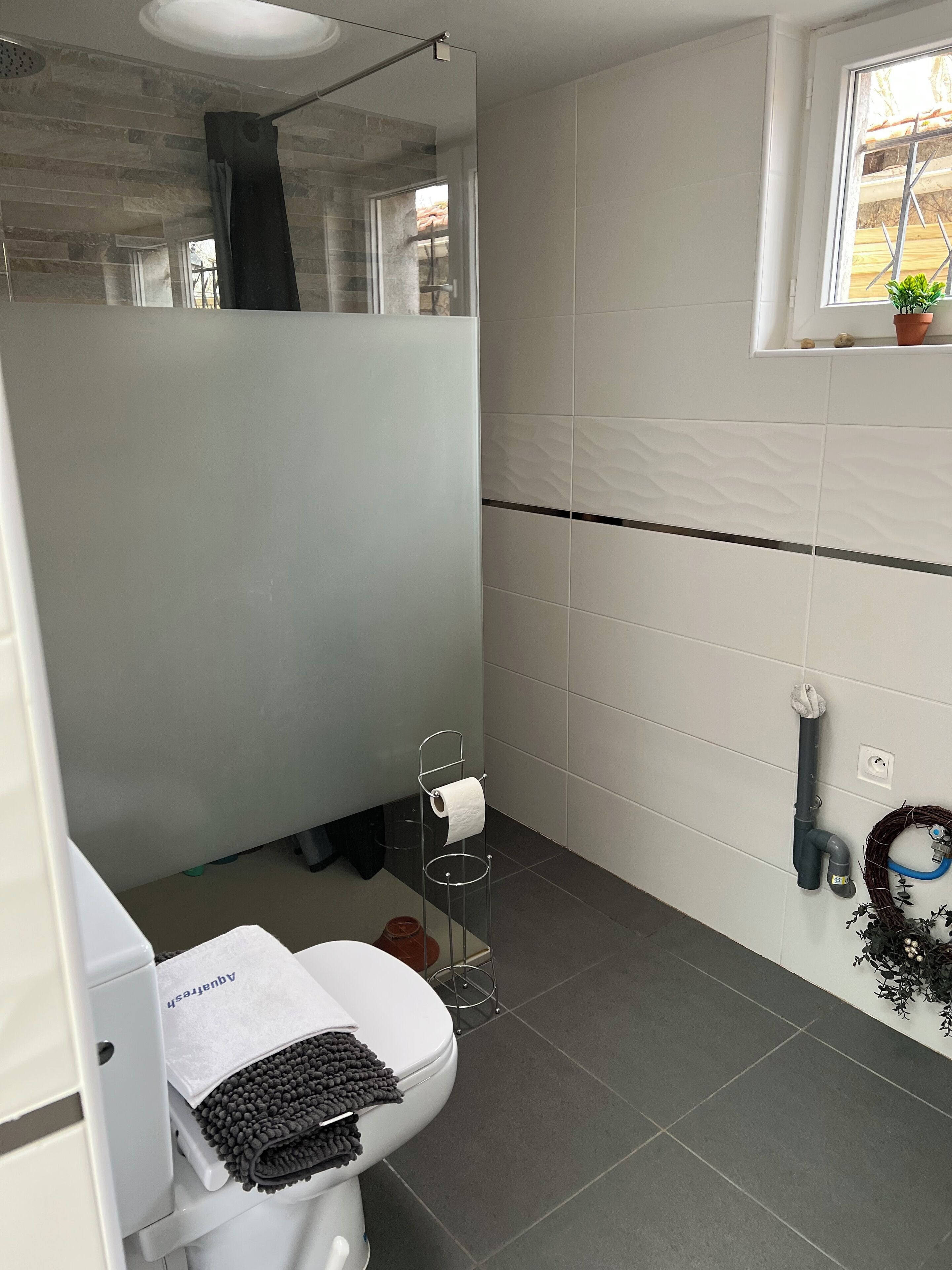 Dusche, Haartrockner, Seife, Toilettenpapier