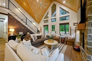 Smart TV, chimenea, libros, biblioteca de música