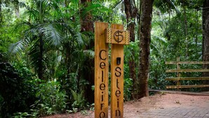 Un segnale di legno con le scritte 'Celoiro' e 'Stein' intagliate, sullo sfondo di una rigogliosa foresta verde.