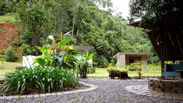 Un jardín con un sendero de grava, una construcción pequeña y abundante vegetación.