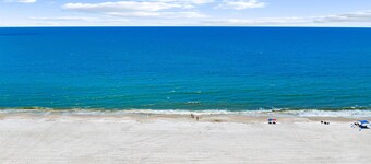 Pet Friendly Beach House - Lazy Palms