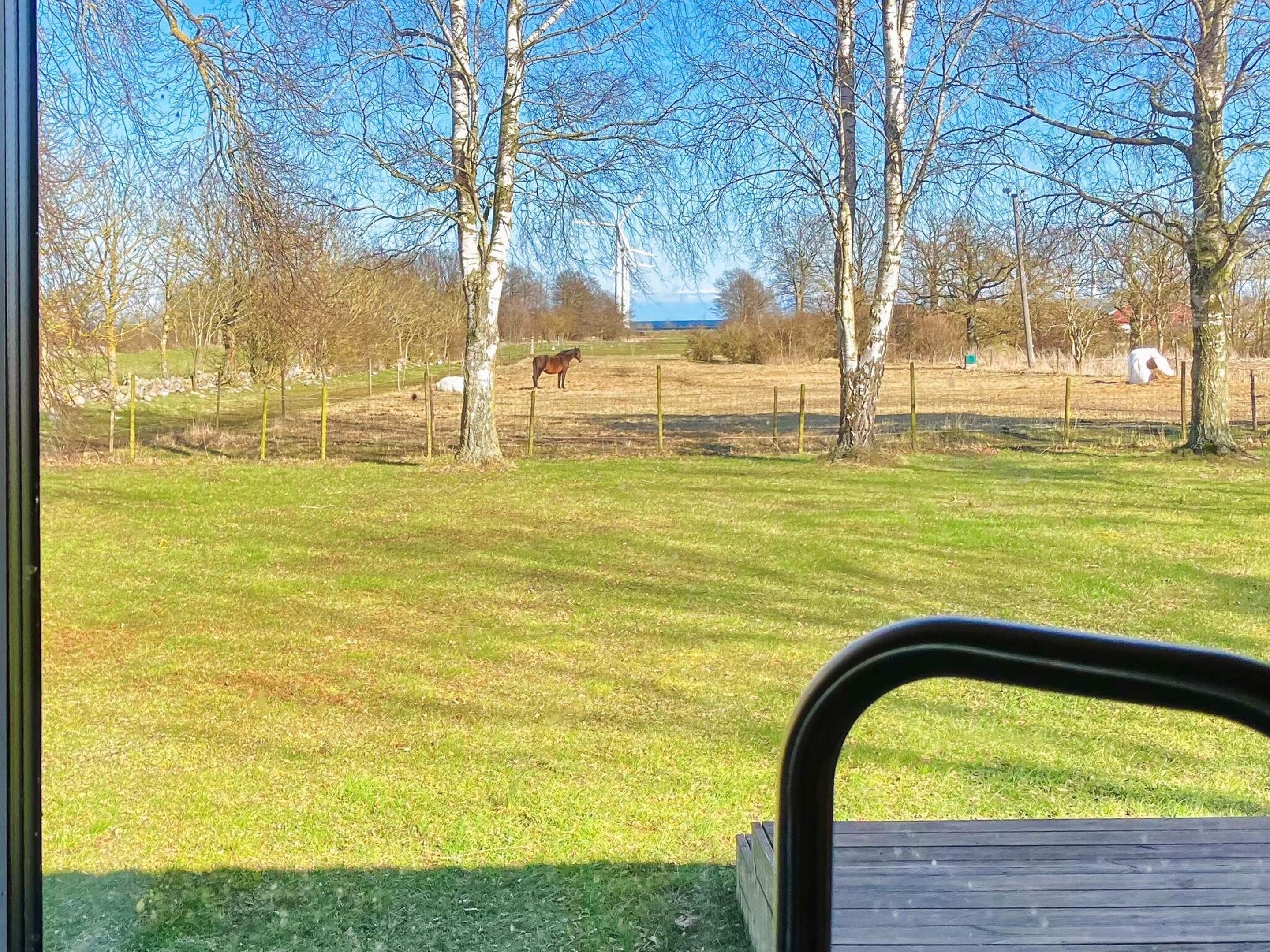 Une vue d’un champ verdoyant, avec des arbres et un cheval au loin.