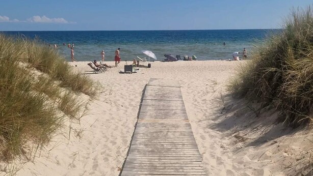 Ein sandiger Strand mit einer hölzernen Prominade, die zum Wasser führt, umgeben von Gras.