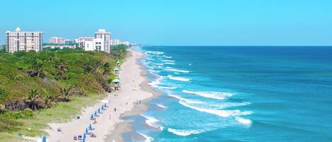 A beach with a row of blue umbrellas, a sandy shore, and buildings in the background.
