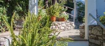 angela studios