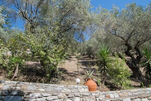 Property grounds - angela studios (Skiathos)