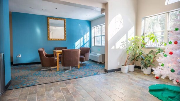 Une pièce avec un mur bleu, un miroir, une table avec des chaises, des plantes en pot et un sapin de Noël.