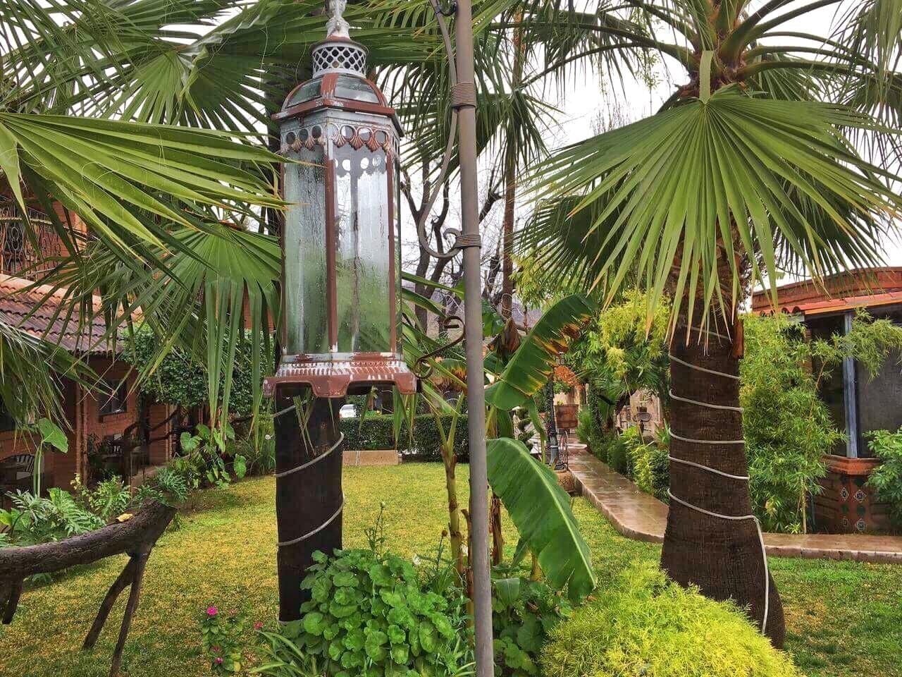 A garden with a decorative lantern, palm trees, and a pathway.