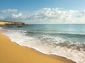Ein Strand mit blauem Himmel, ruhigem Wasser und sandigem Ufer.