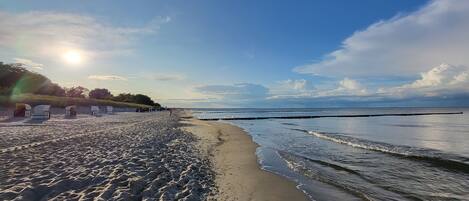 ビーチの近く、サンラウンジャー