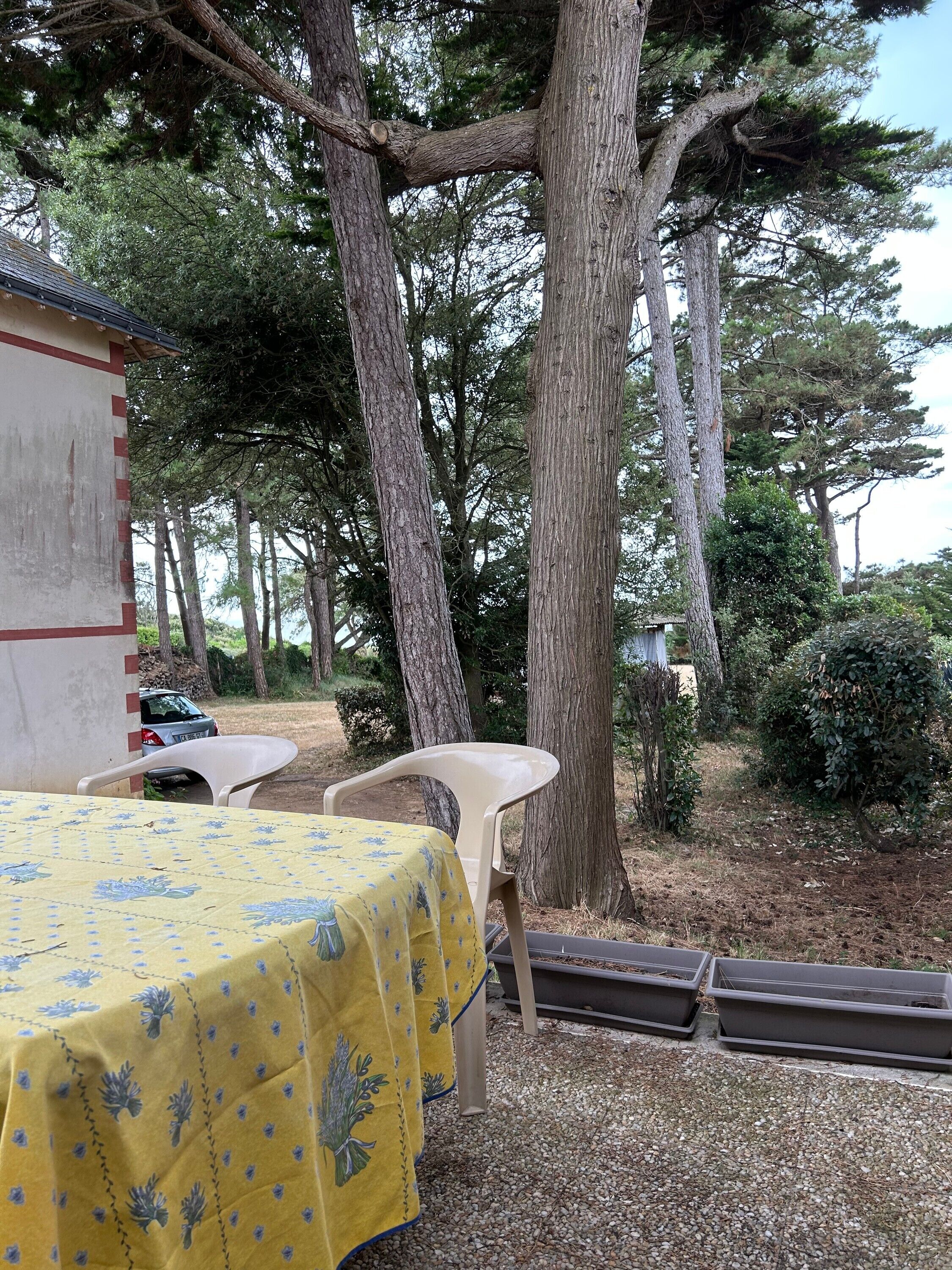 Restauration extérieure