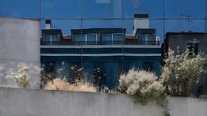 Ein modernes Gebäude mit einer reflektierenden Glasfassade, einer Betonwand und Grünpflanzen im Vordergrund.