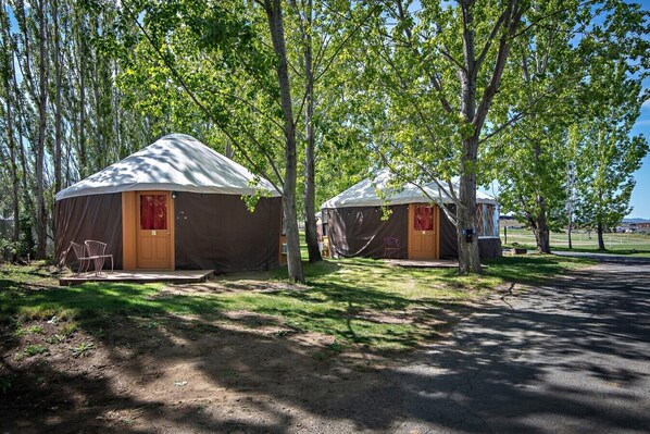 Two yurts with doors and windows, surrounded by trees, in a campground setting.