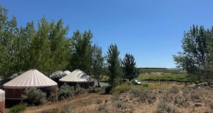 10 Yurts - #4 - Glamping by the Gorge & Cave B