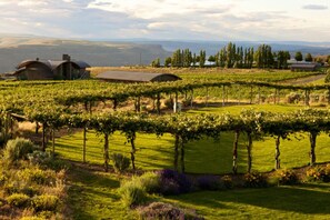 Terrain de l’hébergement 