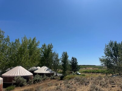 10 Yurts - Glamp by the Gorge & Cave B