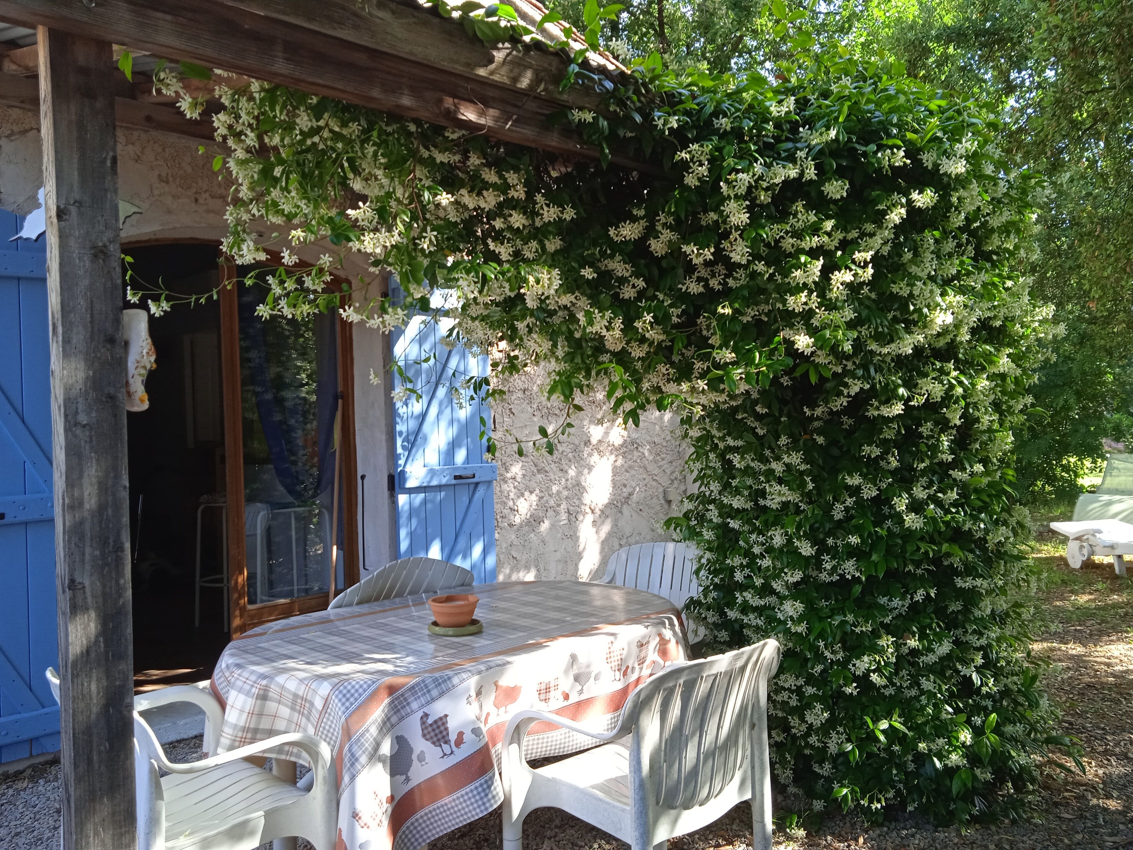 A rustic outdoor dining area with a table covered in a checkered tablecloth, surrounded by white plastic chairs.