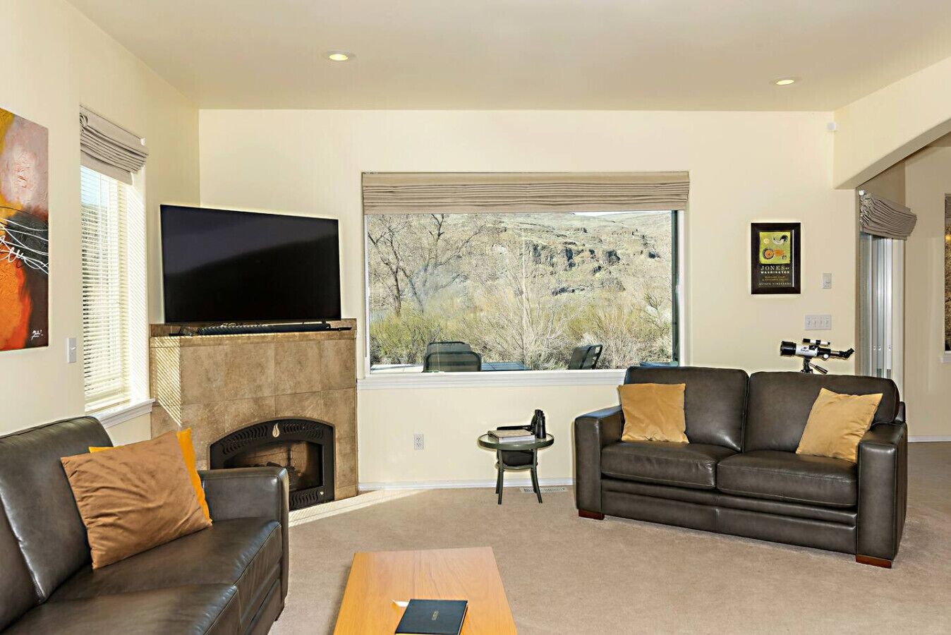 TV, fireplace