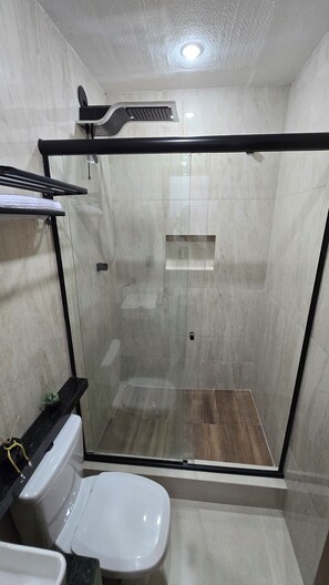 Shower, towels, toilet paper