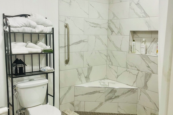 Shower, hair dryer, towels, soap