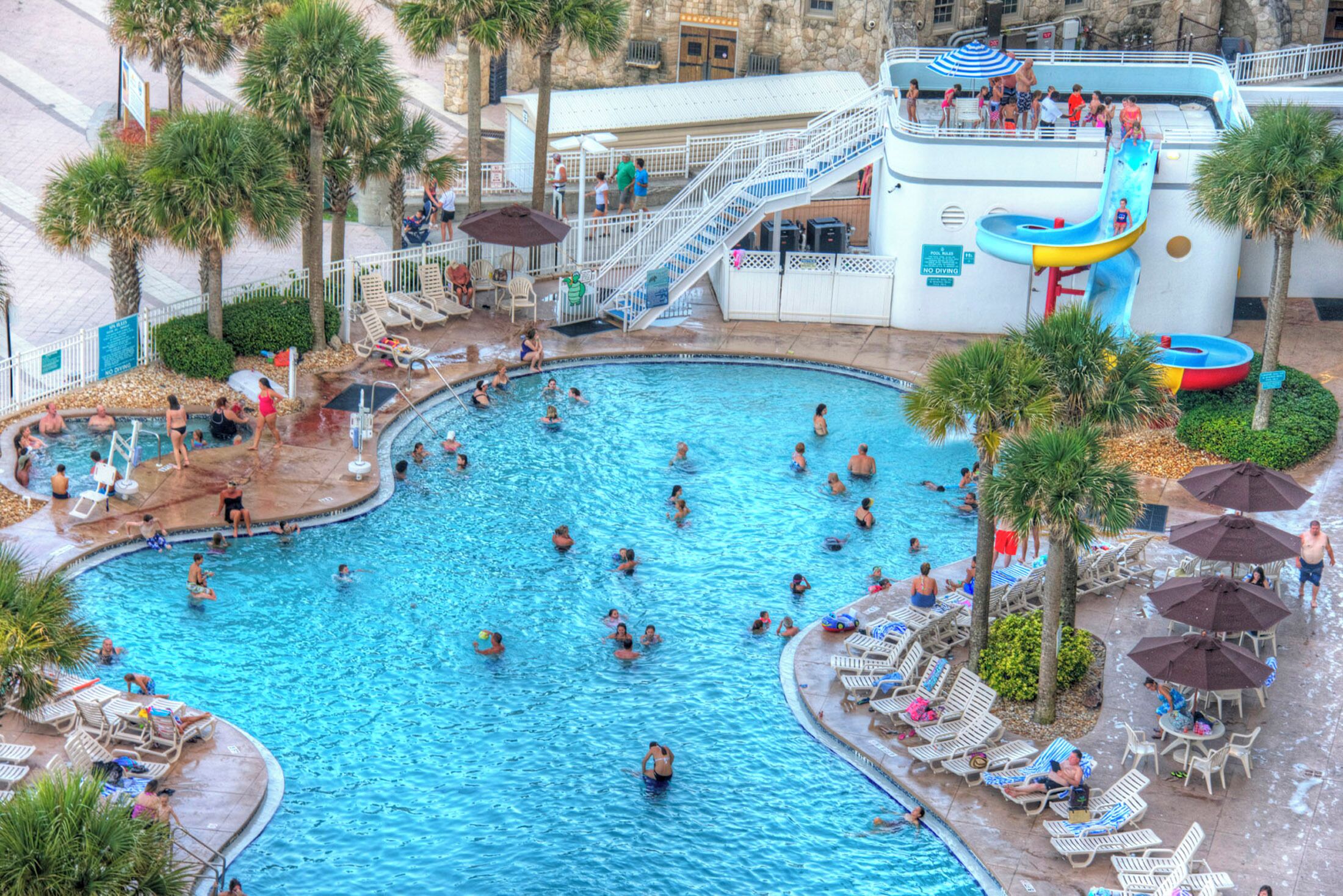 A large indoor swimming pool with multiple lanes, surrounded by palm trees and lounge chairs.