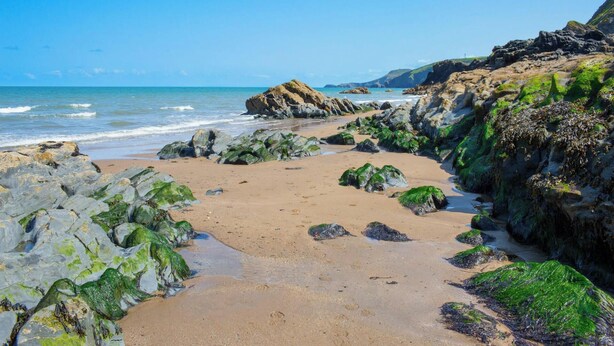 Una playa con afloramientos rocosos y rocas cubiertas de algas.