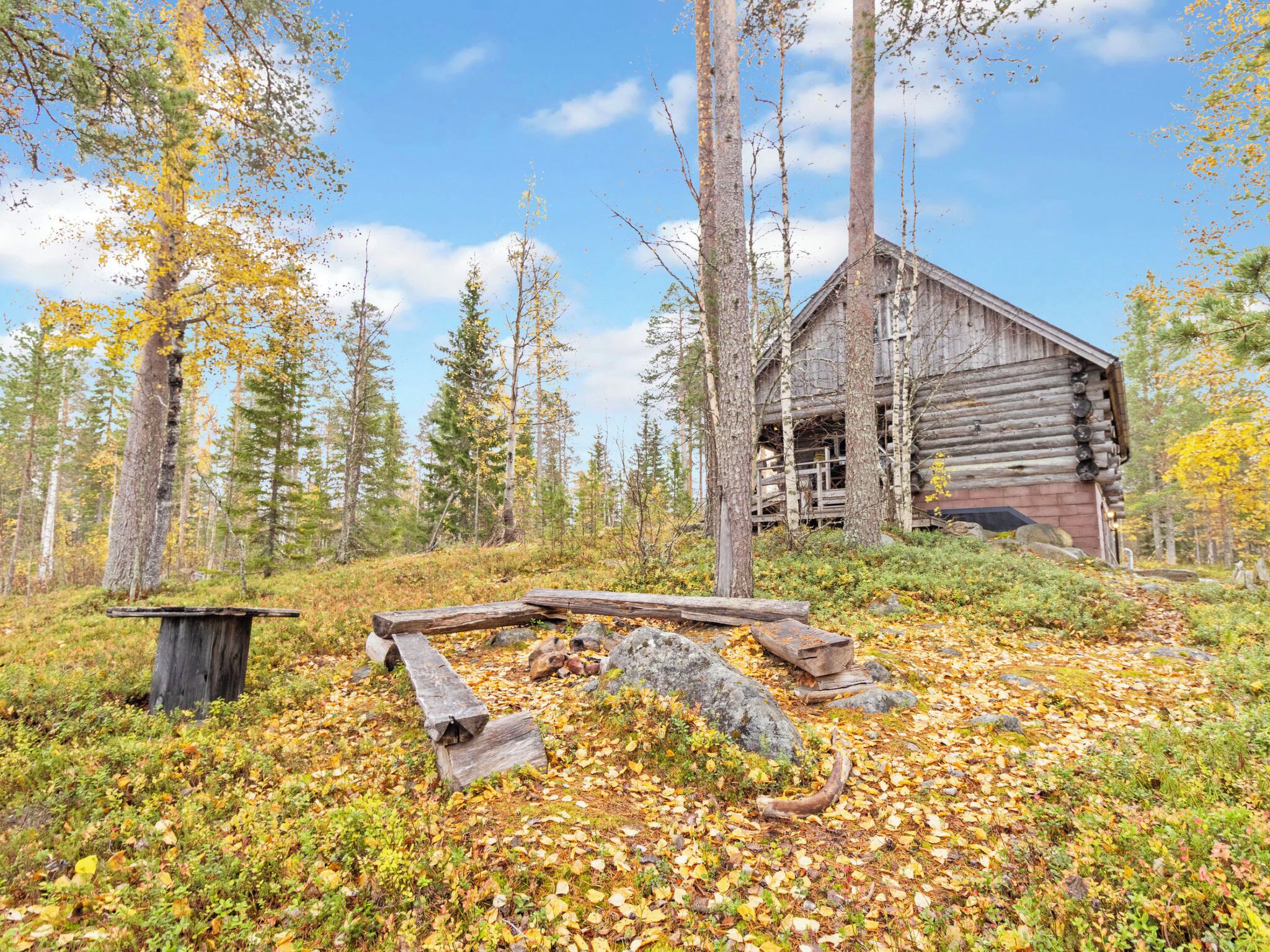 A rustic log cabin surrounded by a forest with fallen leaves on the ground.