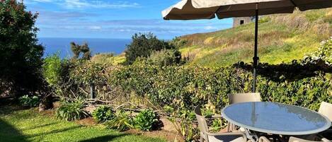 House, Patio, Garden View | Outdoor dining