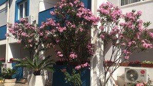 A building with pink flowering trees in front, a blue and white facade, and an air conditioning unit on the right. - Apartments Aleksić, Bečići - Studio Apartment with Terrace 2 (Becici)