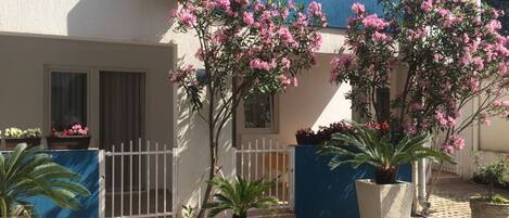 Un edificio con fachada blanca, puerta azul y plantas florecientes rosadas en el frente.