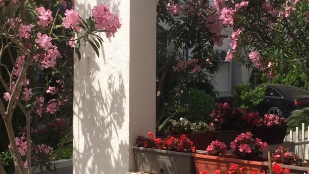 A building with a white exterior and a balcony with potted plants and flowers. - Apartments Aleksić, Bečići - Studio Apartment with Terrace 2 (Becici)