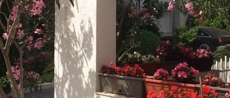 施設の敷地