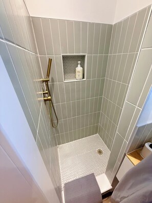 Regadera, secadora de cabello, bidet, toallas 