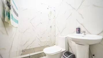 Douche, serviettes fournies, savon, papier de toilette