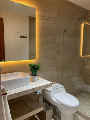 Secador de pelo, shampoo, papel higiénico