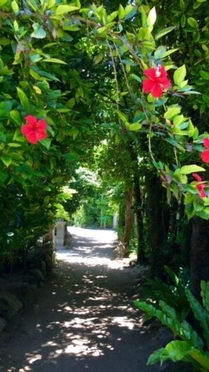 Property grounds - Bise no Yado Yui (Motobu)