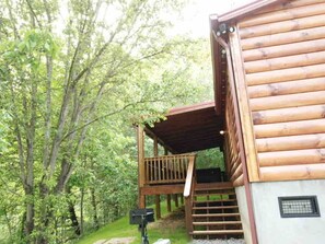 Property grounds - Quiet & close to Dollywood fenced yard for dogs (Sevierville)