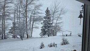 A snowy landscape with trees and a swing set. - Rustic waterfront farmhouse on Sydney Harbour, with amazing sunset views. (Point Edward)